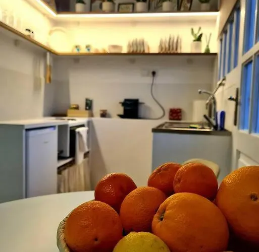 Olive House Cozy Studio
